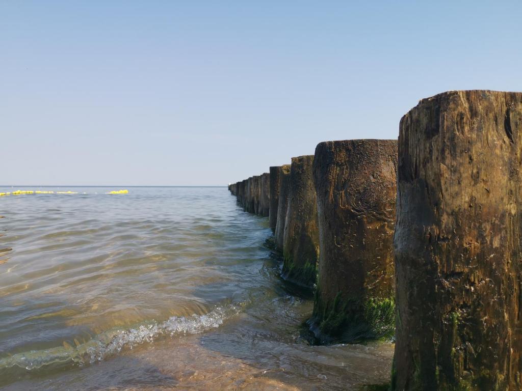 Przyroda w pobliżu tej kwatery prywatnej