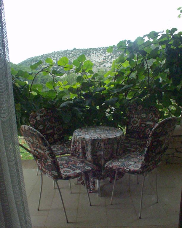 Zahrada ubytování Apartments with a parking space Pucisca, Brac - 756