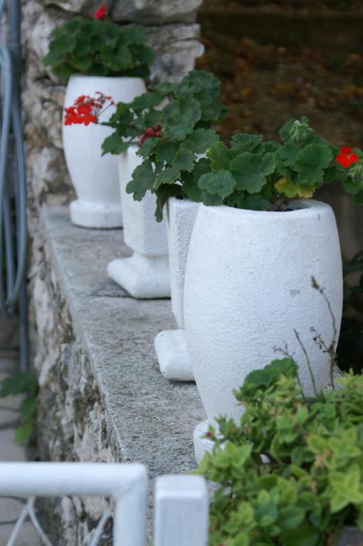 Fotografia z galérie ubytovania Apartments by the sea Seget Vranjica, Trogir - 1050 v Seget Vranjici