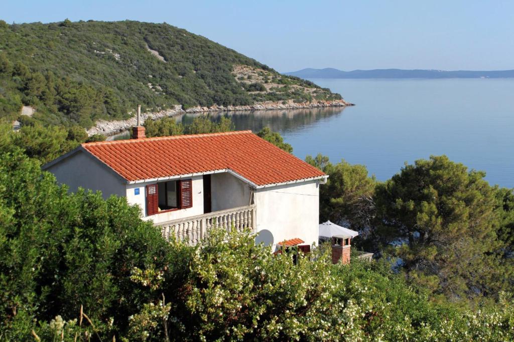 ein Haus auf einem Hügel neben einem Wasserkörper in der Unterkunft Apartments by the sea Savar, Dugi otok - 892 in Brbinj