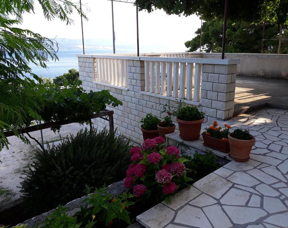 Príroda v okolí apartmánu