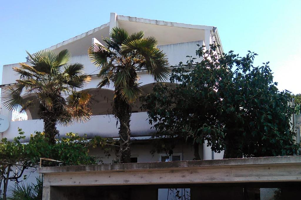 um edifício com palmeiras em frente em Apartment Tisno 814b em Tisno