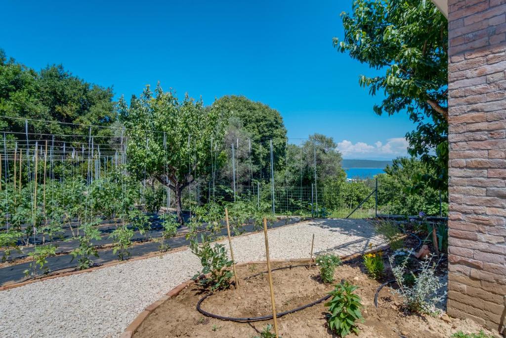 Zahrada ubytování Apartments by the sea Nerezine, Losinj - 18734