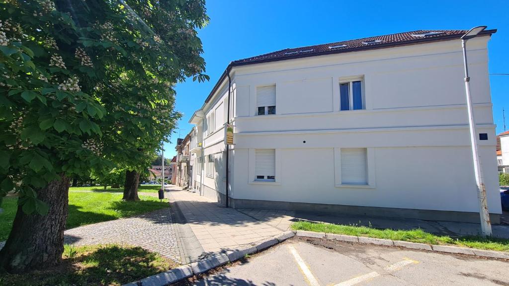 a white building with a tree next to a sidewalk at Rooms with a parking space Daruvar, Bjelovarska - 18842 in Daruvar