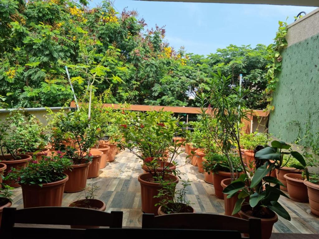 een rij potplanten op een balkon bij Terrace Garden in Hyderabad