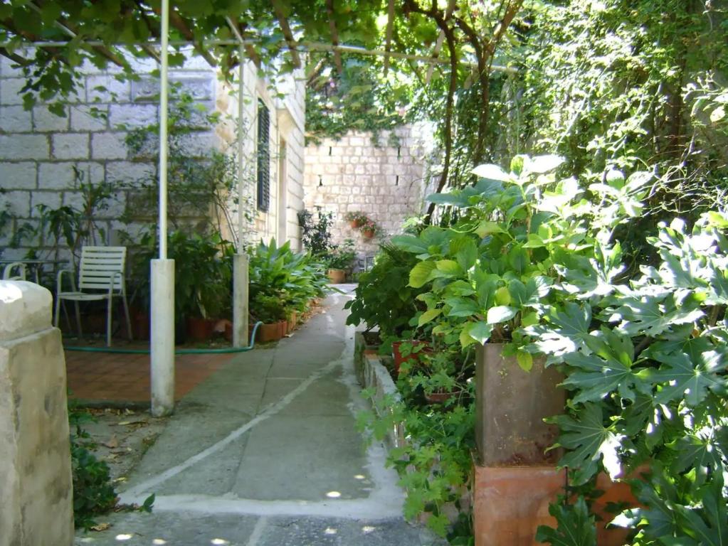 Zahrada ubytování Apartments by the sea Dubrovnik - 18908