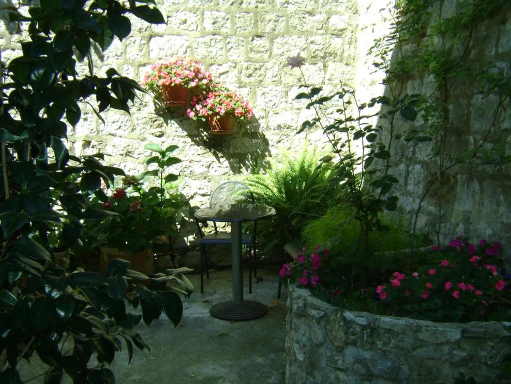 Zahrada ubytování Apartments by the sea Dubrovnik - 18908