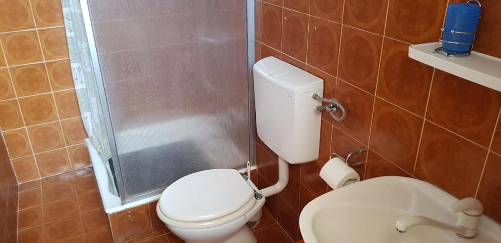a bathroom with a toilet and a shower at Apartments by the sea Pisak, Omis - 1018 in Pisak