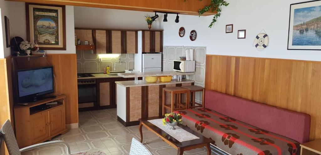 a living room with a kitchen with a couch and a tv at Apartments by the sea Pisak, Omis - 1018 in Pisak