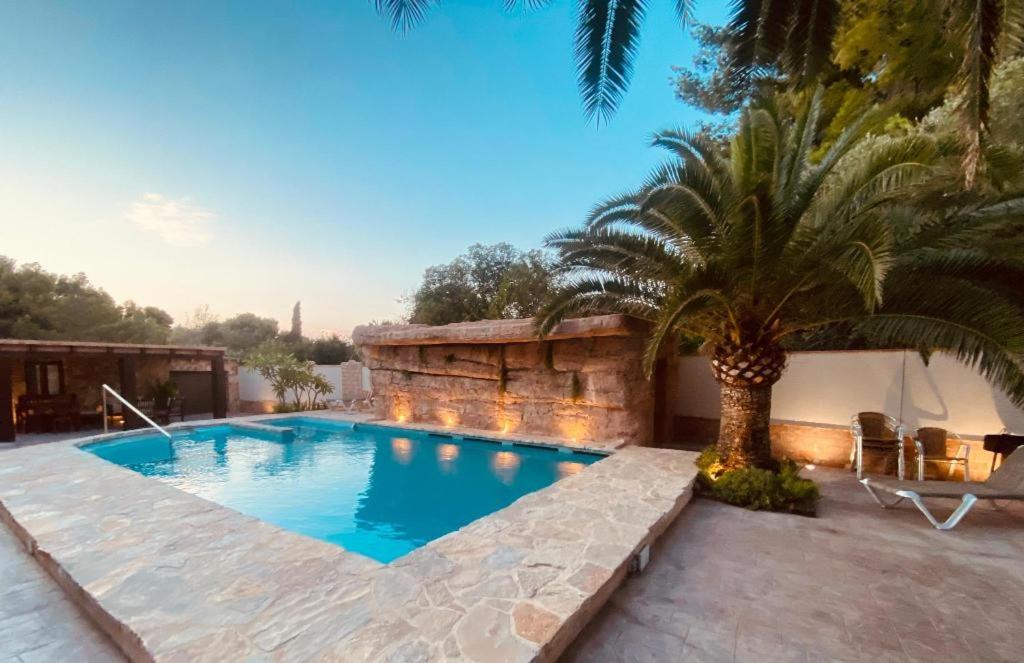 una piscina con una palmera en un patio en Apartamentos Montgò en Dénia