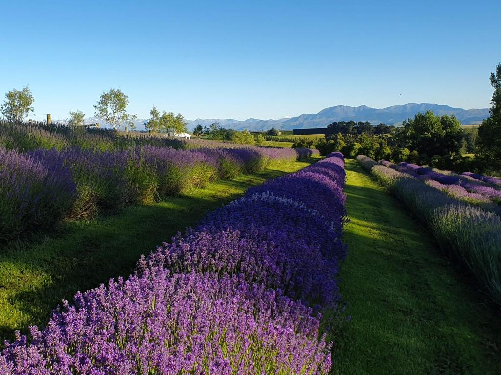 Delightful 1-bed barn with stunning mountain views... - Apartment With Mountain View