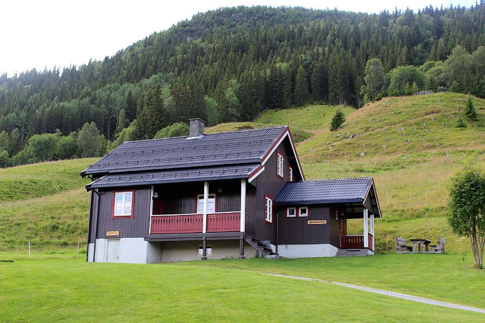 una casa marrón en una colina con un campo verde en Svarteberg Drengestugu - cabin by Ål skisenter, en Al