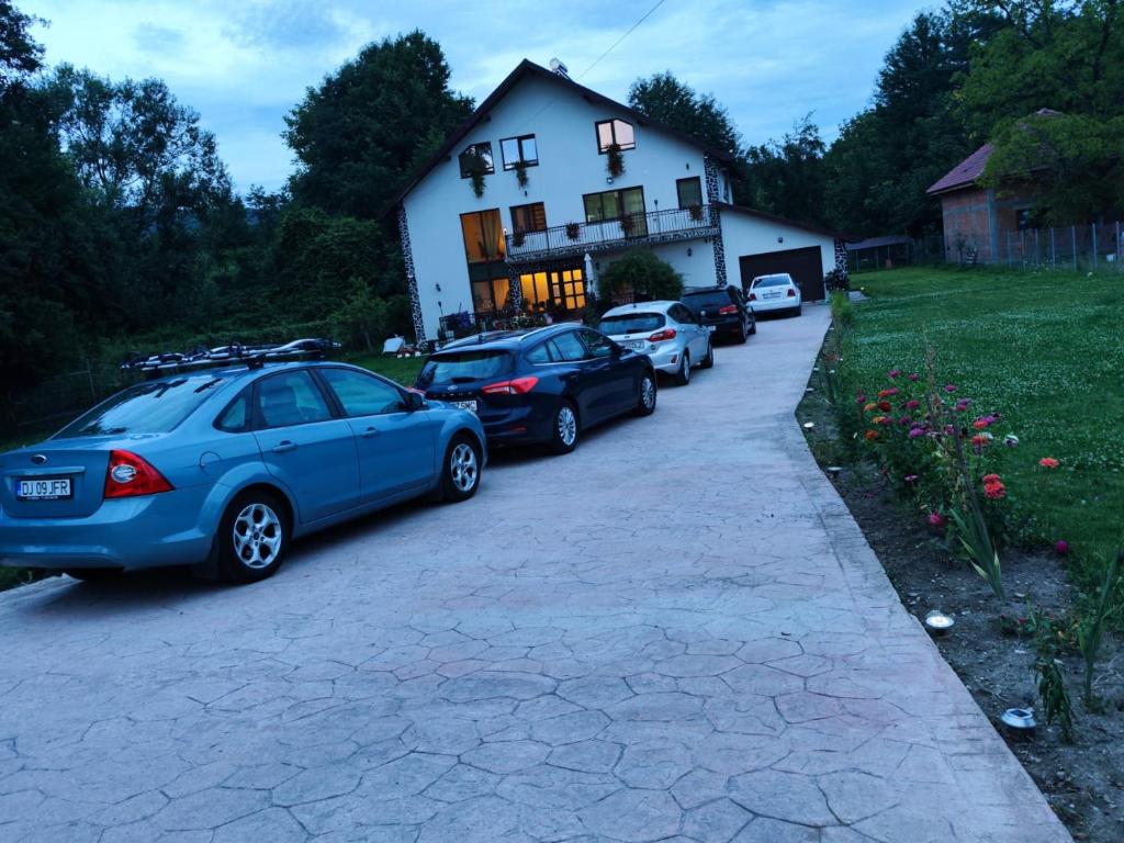 ホレズにあるCasa Irinaの家の前に停車する車集団