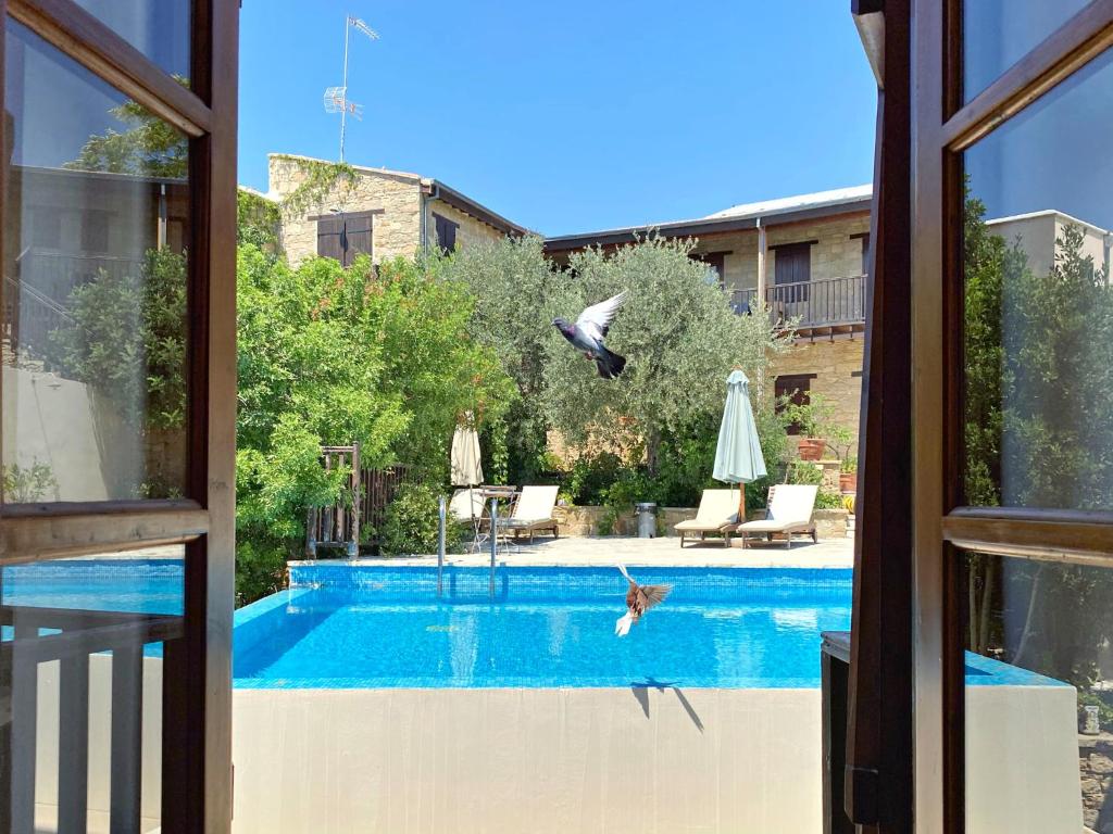 a bird is flying over a swimming pool at Eveleos Country House in Tochni