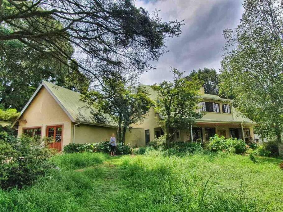 Silver Birch Studio - Hizvo