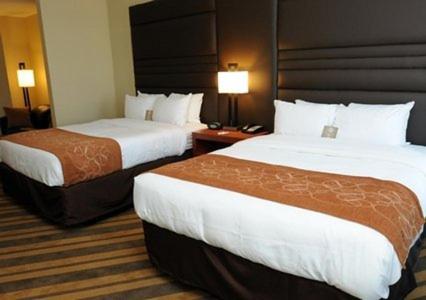 Comfort Suites near Tanger Outlet Mall - Queen Suite - Accessible/Non-Smoking