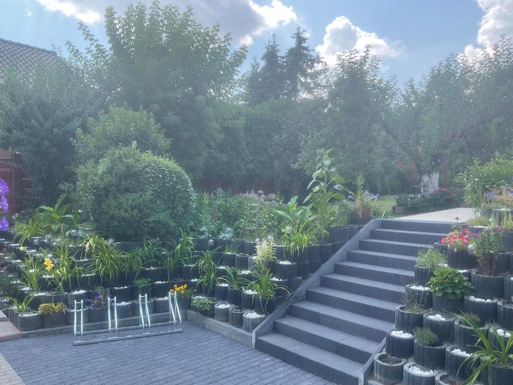 Aida POKOJE GOŚCINNE GDAŃSK - ROOMS & FREE PARKING - 17