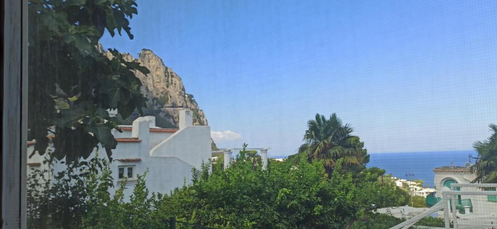 Villa dei fiori B&B - 19