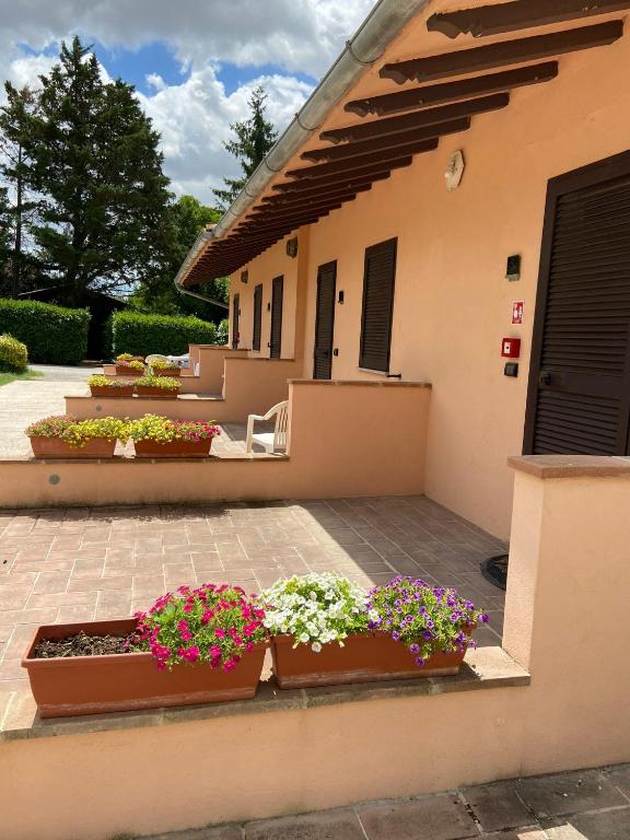 Zahrada ubytování Hotel Bellavista
