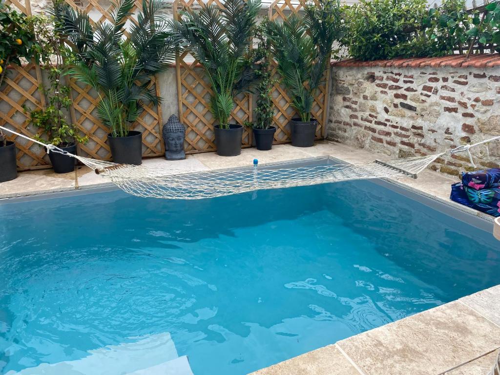 una piscina con hamaca y algunas plantas en Maison JoSaRa Agen, logement de 1 à 4 chambres, piscine et rooftop, centre ville proche gare en Agen