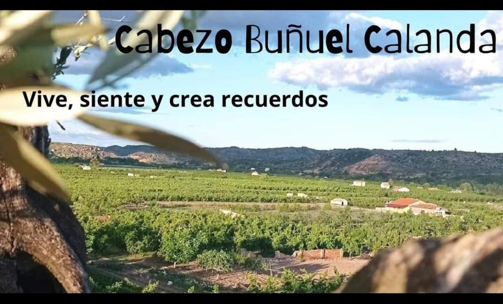 uma visão de um campo de culturas com as palavras calandra bala cazaza em Cabezo Buñuel Hostal em Calanda