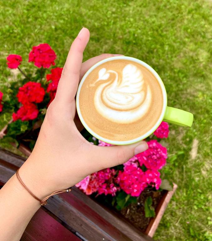 Útulna Craft - penzion Veronika - 1