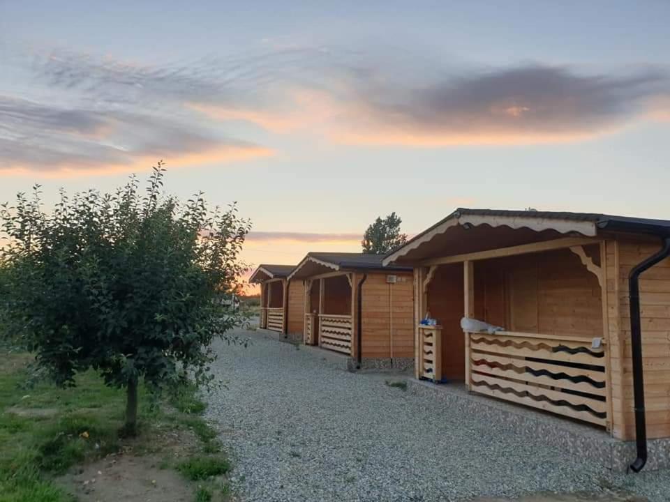 a row of wooden huts in a field with a tree at La căbănute in Sibiu