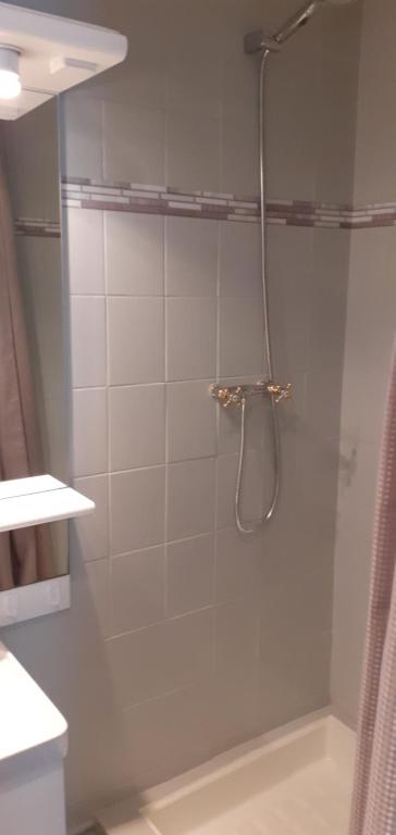 a shower with a glass door in a bathroom at Studio 30 m2 refait à neuf idéalement situé centre ville et plage in Wimereux