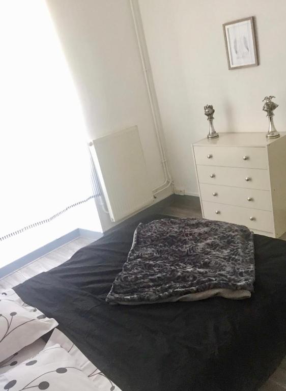 Charmant T2 proche vieille ville - 6