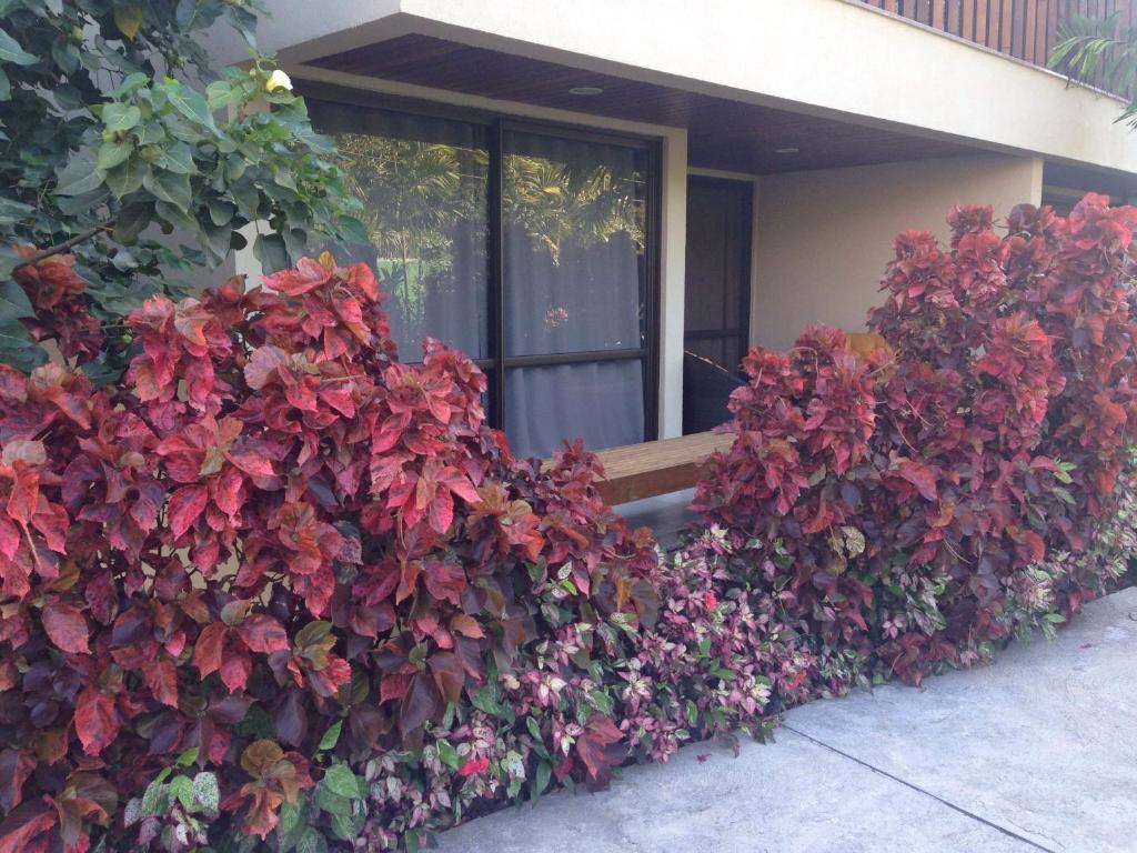  Nannai Residence Apartament