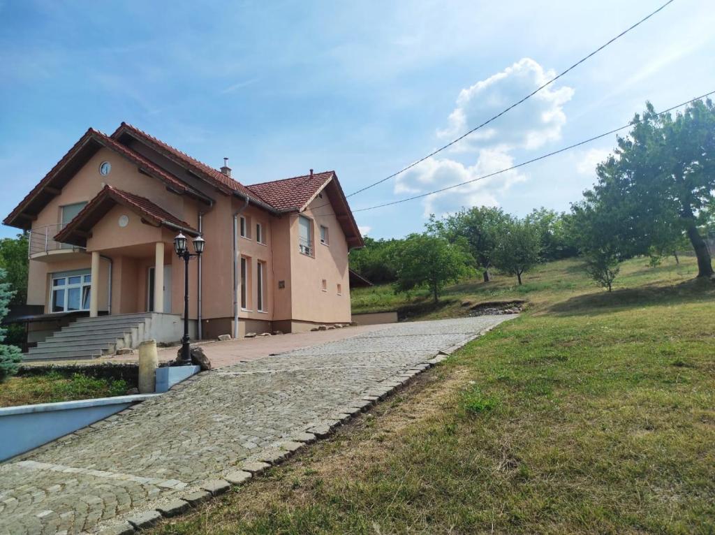 a house with a stone walkway in front of it at Casa Panoramic in Turda