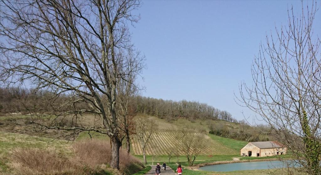 Príroda v okolí dovolenkového domu