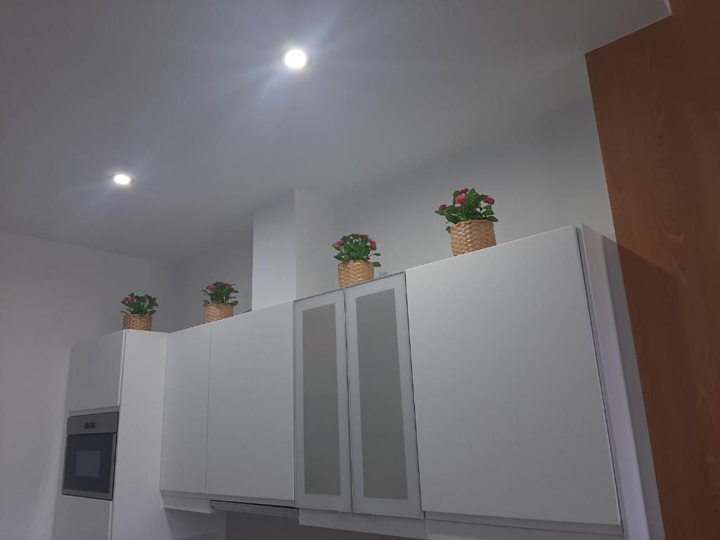 Kuchyň nebo kuchyňský kout v ubytování Vistasmelenara