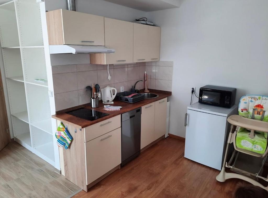 Kuchyň nebo kuchyňský kout v ubytování Roothaus