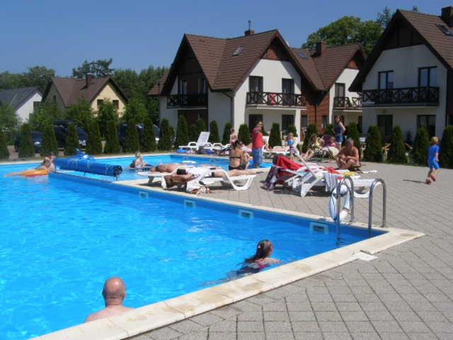 a group of people in a swimming pool at Apartament Blue eye in Żarnowska