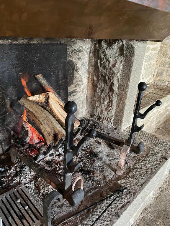 Sprzęt do grillowania w willi