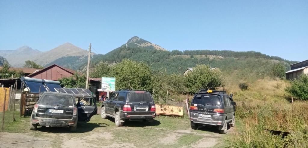Příroda nedaleko penzionu