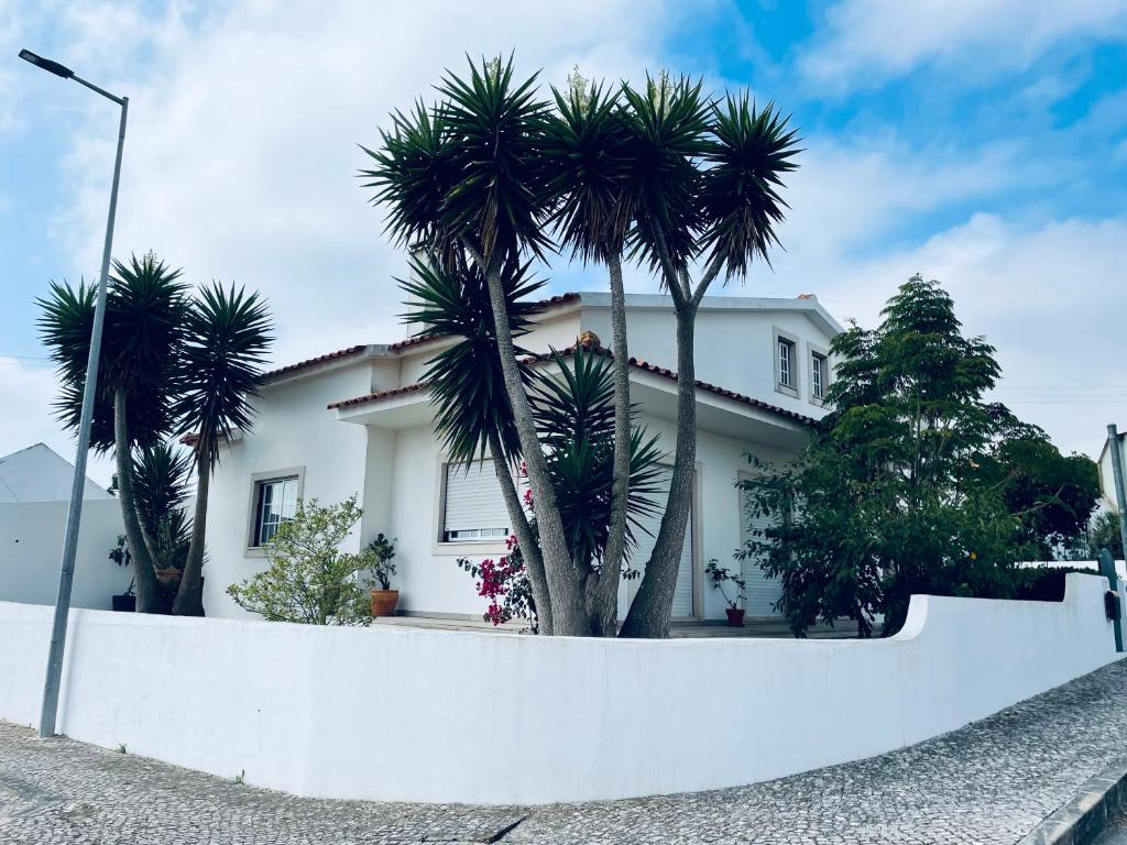 una casa blanca con palmeras delante en Casa do Canto - Uma casa no campo, perto da praia., en Óbidos