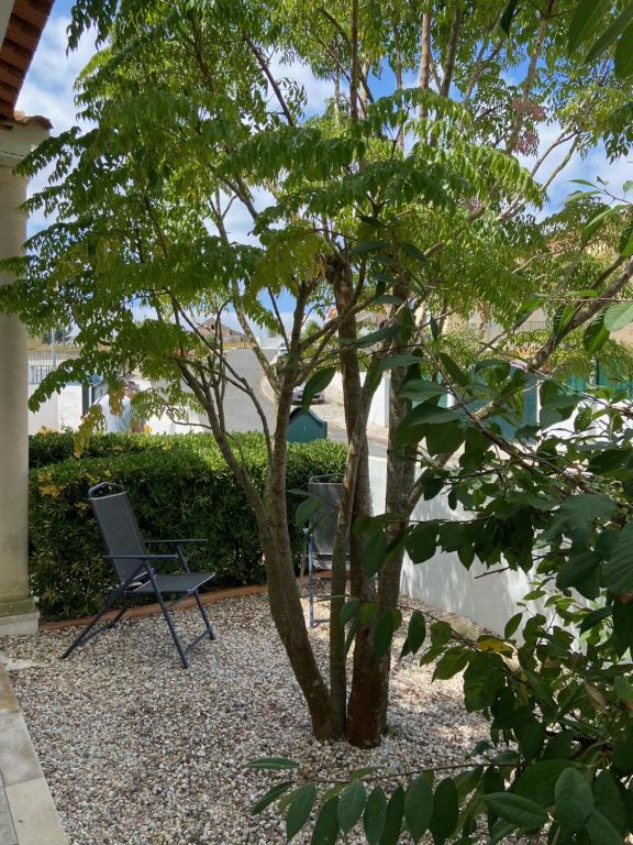 Casa do Canto - Uma casa no campo, perto da praia. - 4