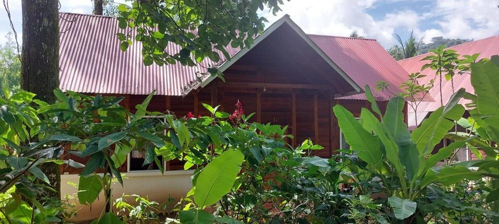 a house with a red roof and some plants at Cabañas Yax-ha in Arroyo Agua Azul