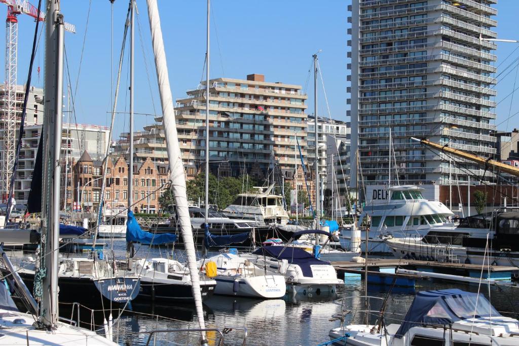 Nespecifikovaný výhled na destinaci Ostende nebo výhled na město při pohledu z apartmánu