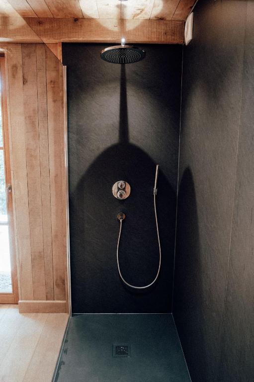 een badkamer met een douche in een zwarte muur bij The WoodPecker Lodge in Waimes