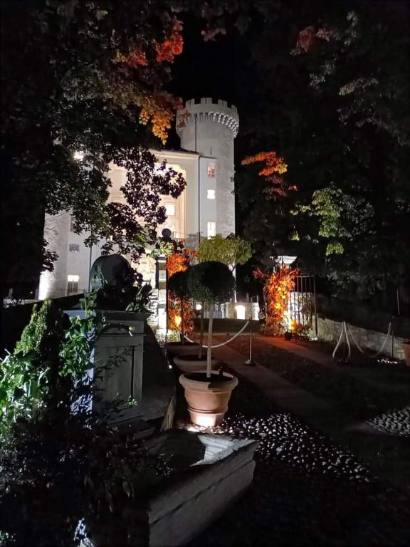Zahrada ubytování MAISON BLANC