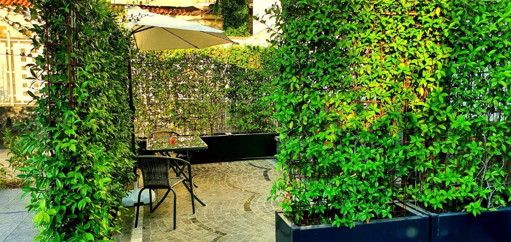 Zahrada ubytování Ercolano Luxury Suite