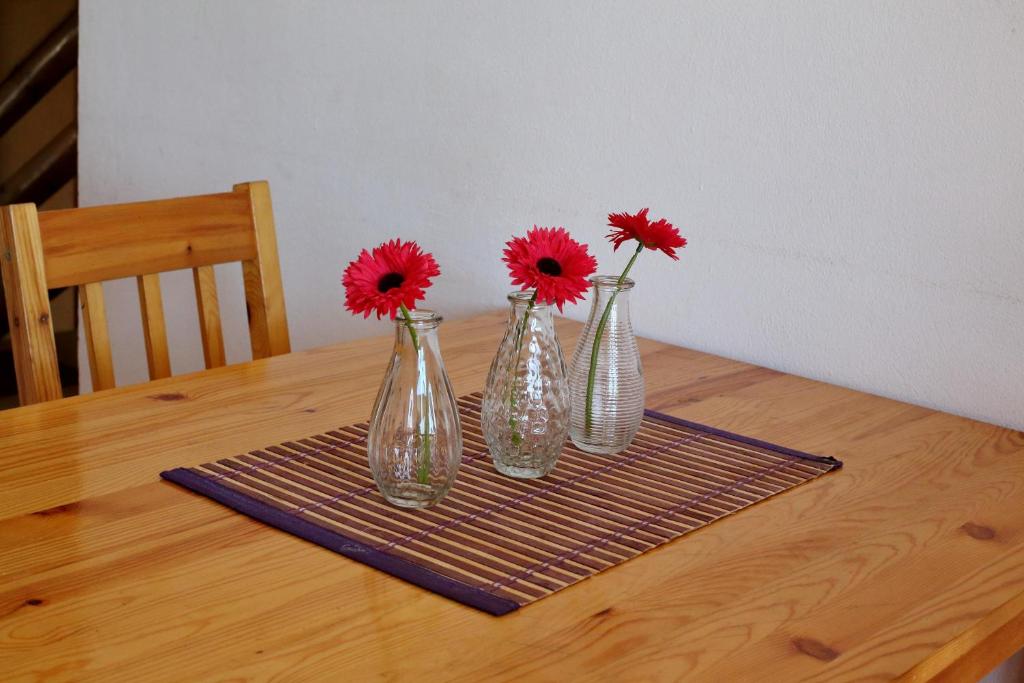 Fotografie z fotogalerie ubytování Apartment Bibinje 4197b v destinaci Bibinje