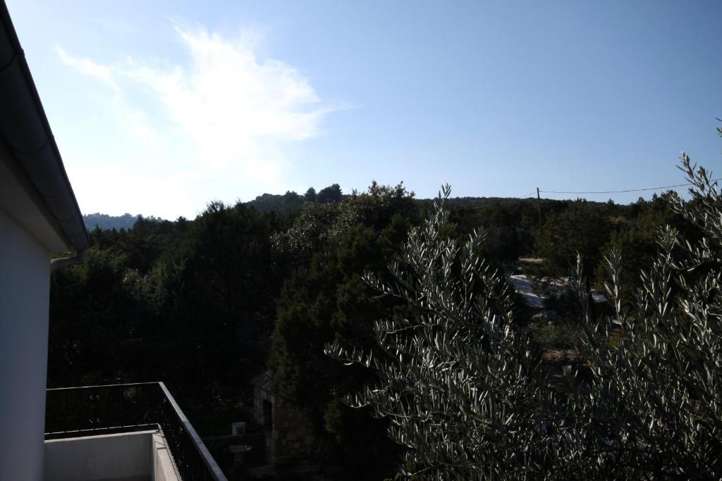 Příroda nedaleko apartmánu