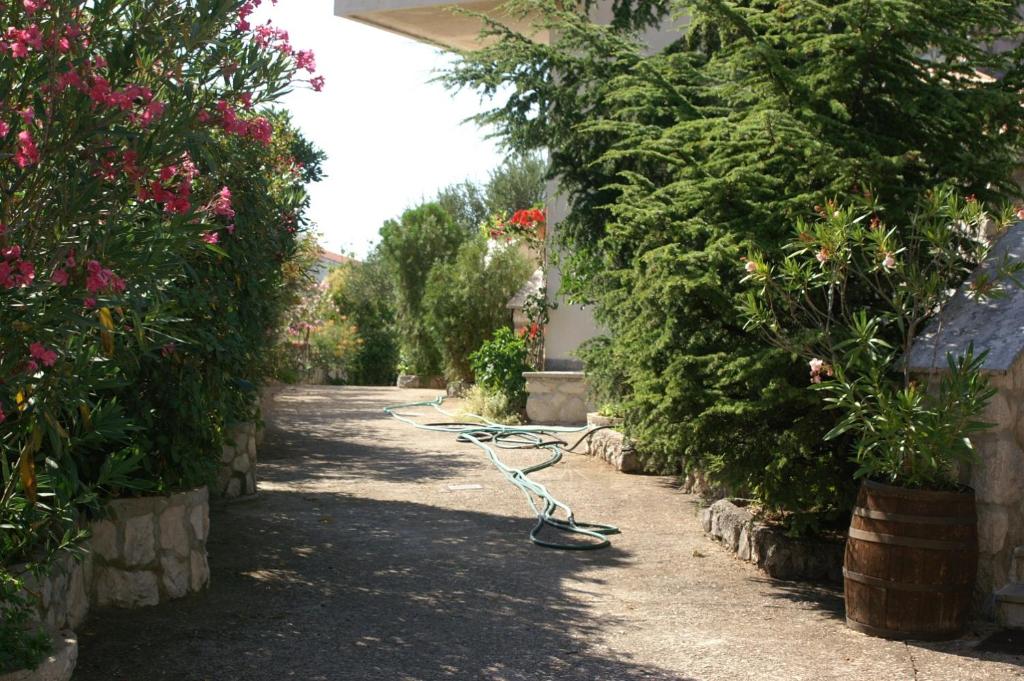 Fotografia z galérie ubytovania Apartment Zablace 4251d v Zablaće