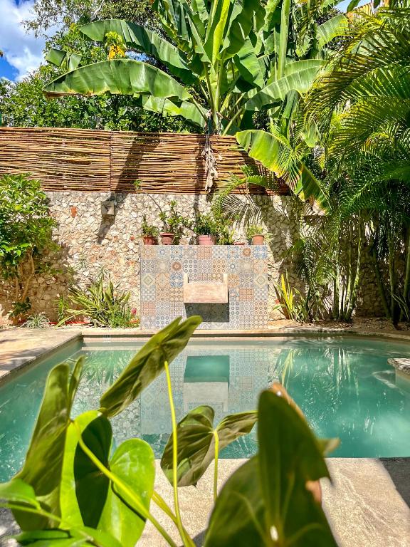 una piscina con una mesa y algunas plantas en Ariché Valladolid Hotel &amp; Hostal, en Valladolid