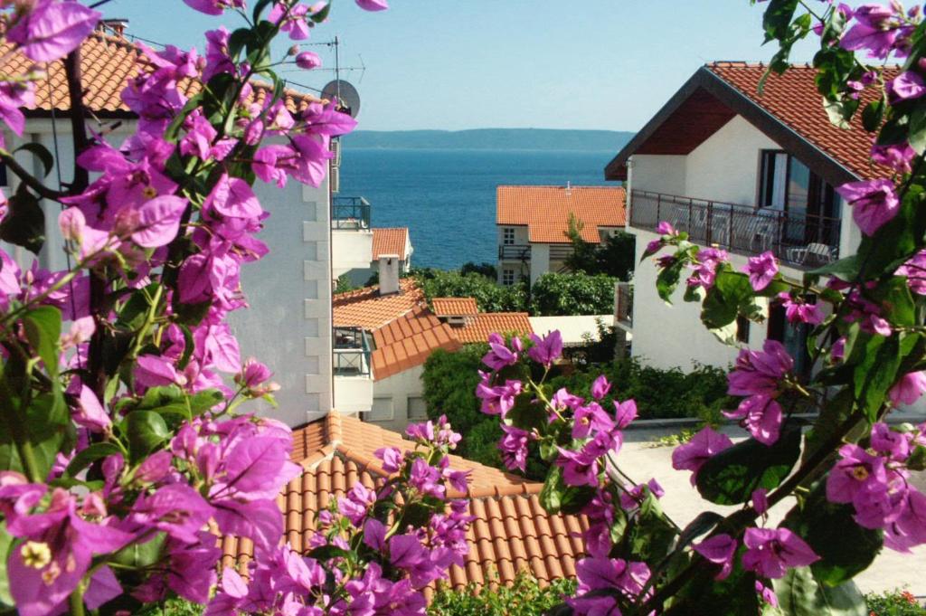 Príroda v okolí apartmánu