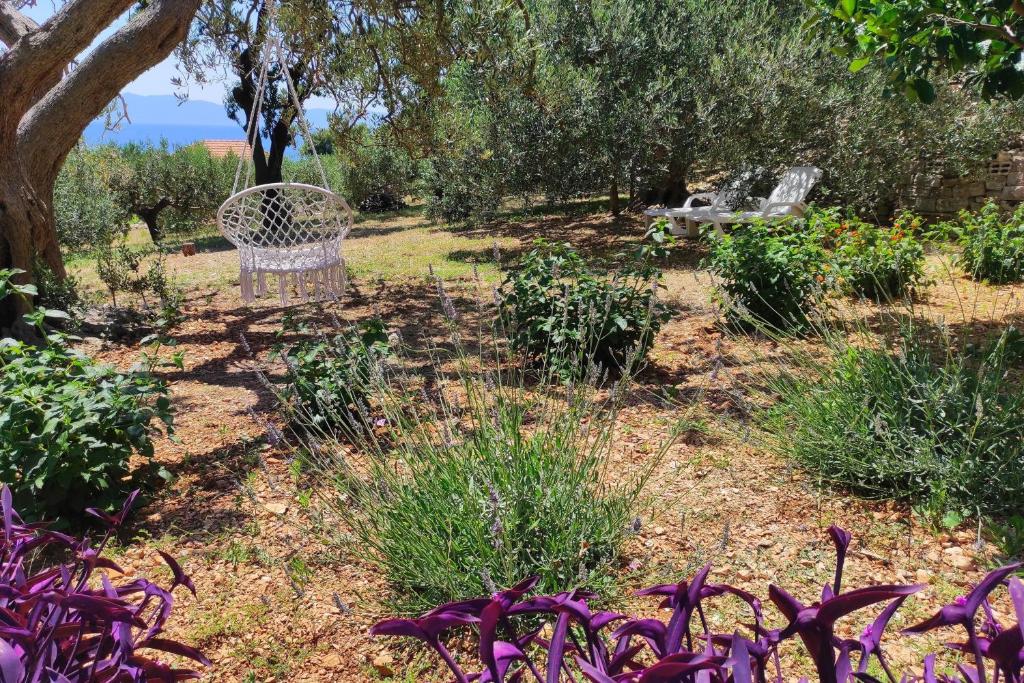 Vonkajšia záhrada v ubytovaní Family friendly seaside apartments Cove Torac, Hvar - 2071